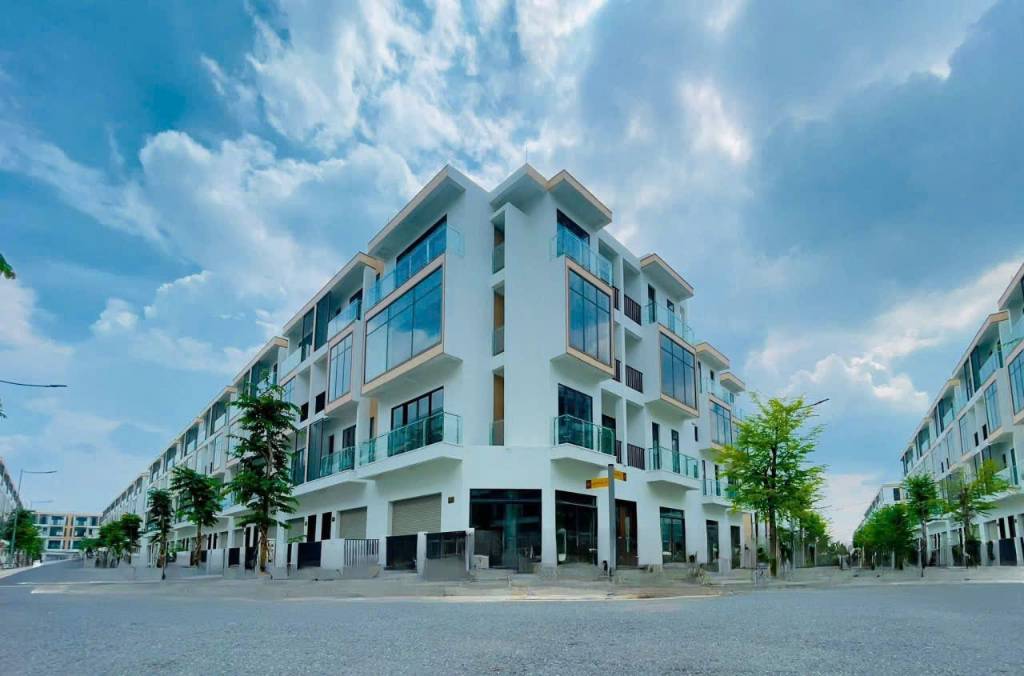 Bất động sản tại Long An - ảnh 1