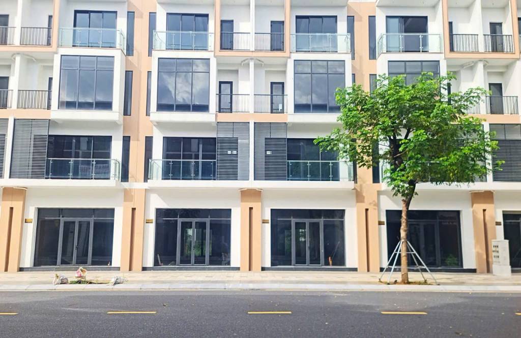 Bất động sản tại Long An - ảnh 1
