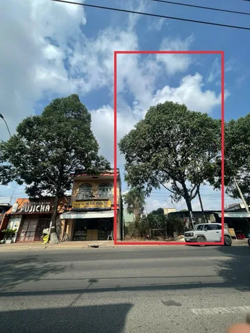 Bất động sản tại Đồng Nai - ảnh 1