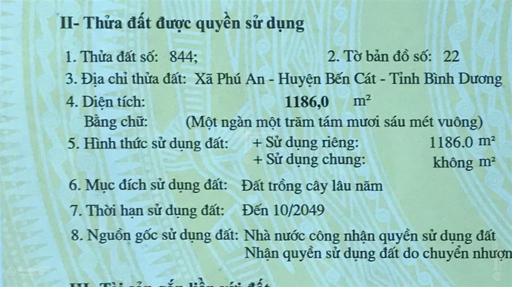 Bất động sản tại Bình Dương - ảnh 1