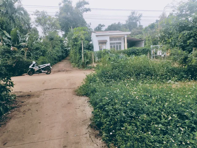 Bất động sản tại Đắk Lắk - ảnh 1