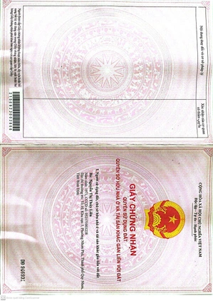 Bất động sản tại Bình Định - ảnh 1