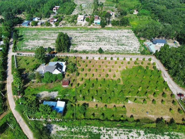 Bất động sản tại Đồng Nai - ảnh 1