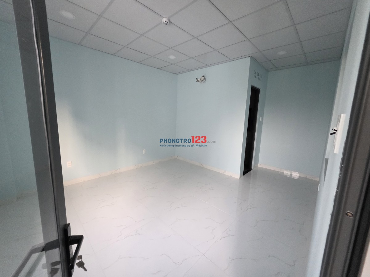 Bất động sản tại TP. Hồ Chí Minh - ảnh 1
