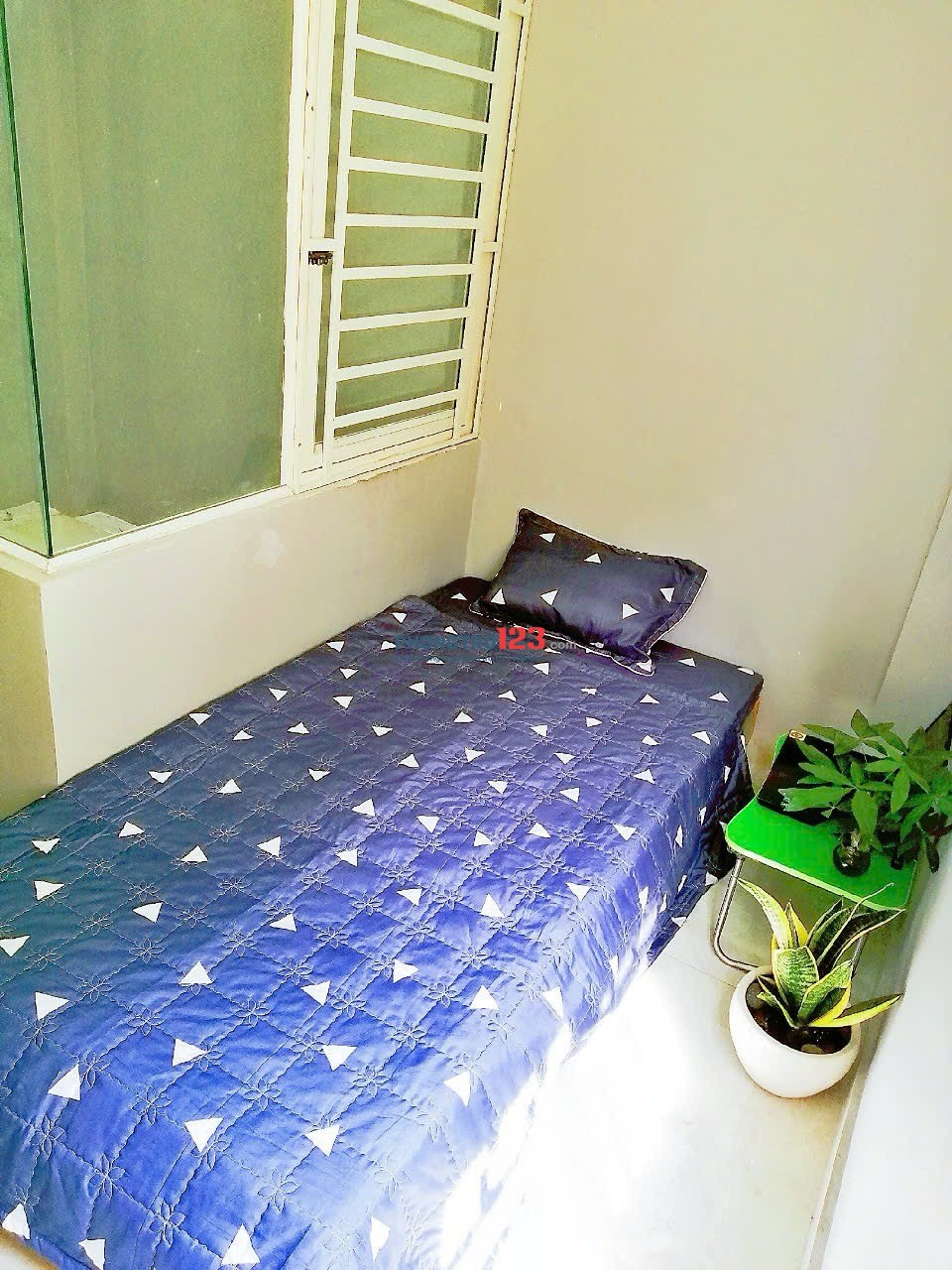 Bất động sản tại TP. Hồ Chí Minh - ảnh 1