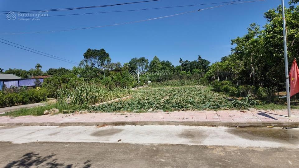 Bất động sản tại Thanh Hóa - ảnh 1