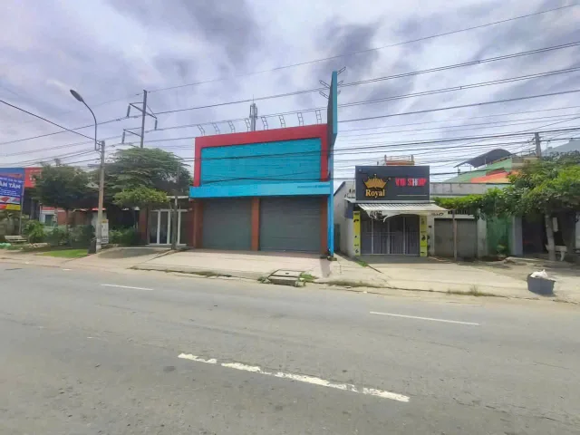 Bất động sản tại Long An - ảnh 1