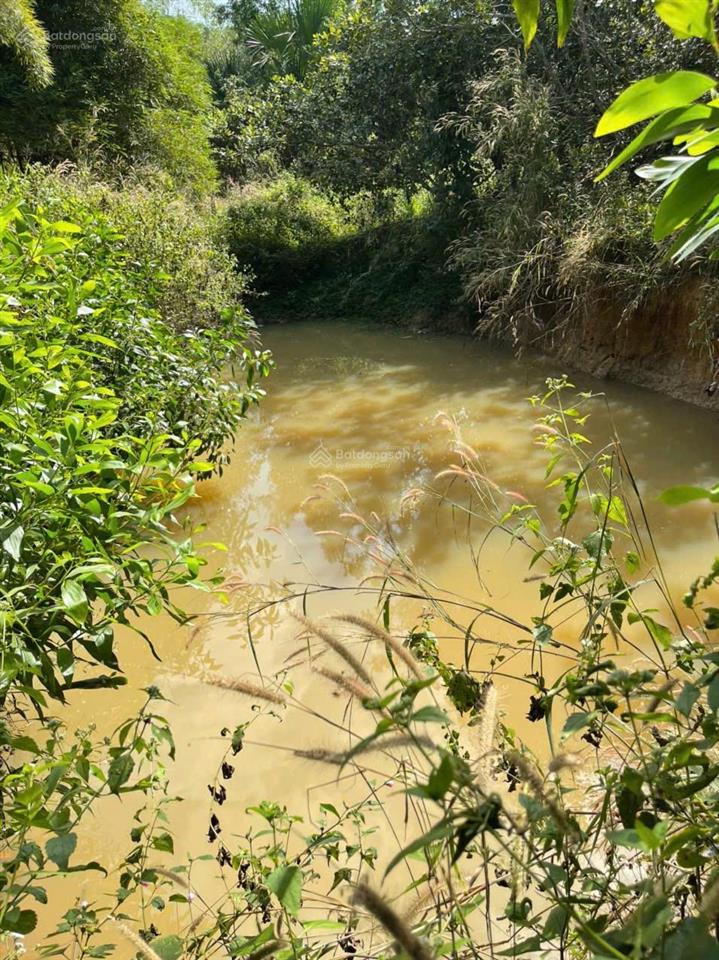 Bất động sản tại Bà Rịa - Vũng Tàu - ảnh 1