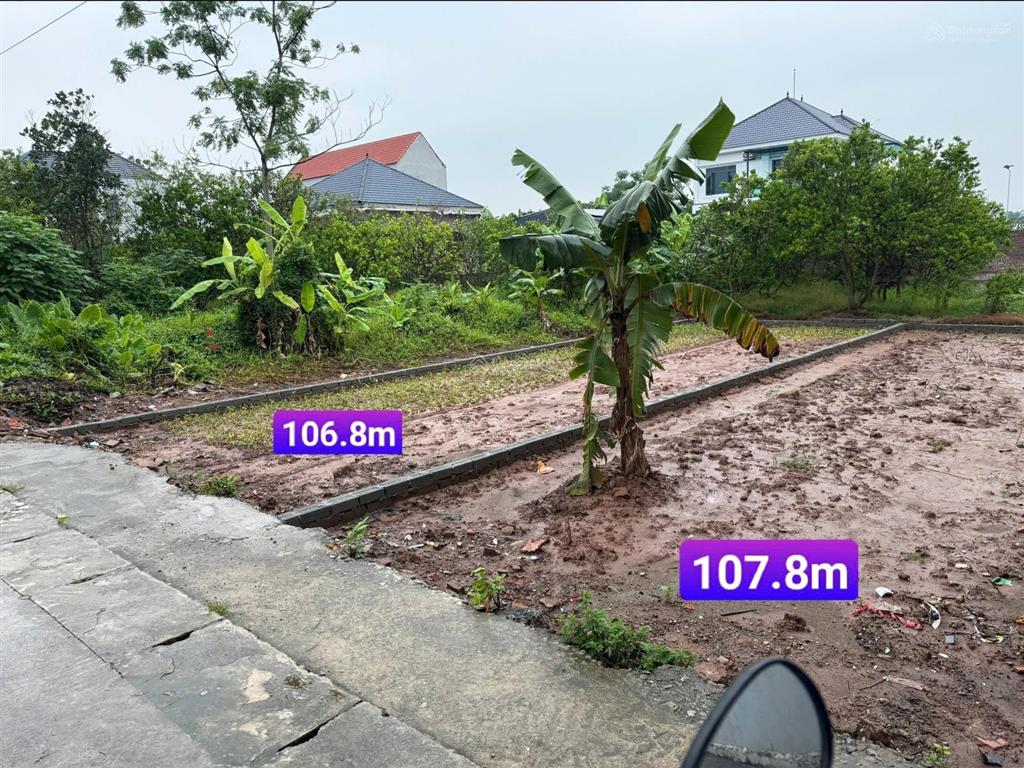 Bất động sản tại Hưng Yên - ảnh 1