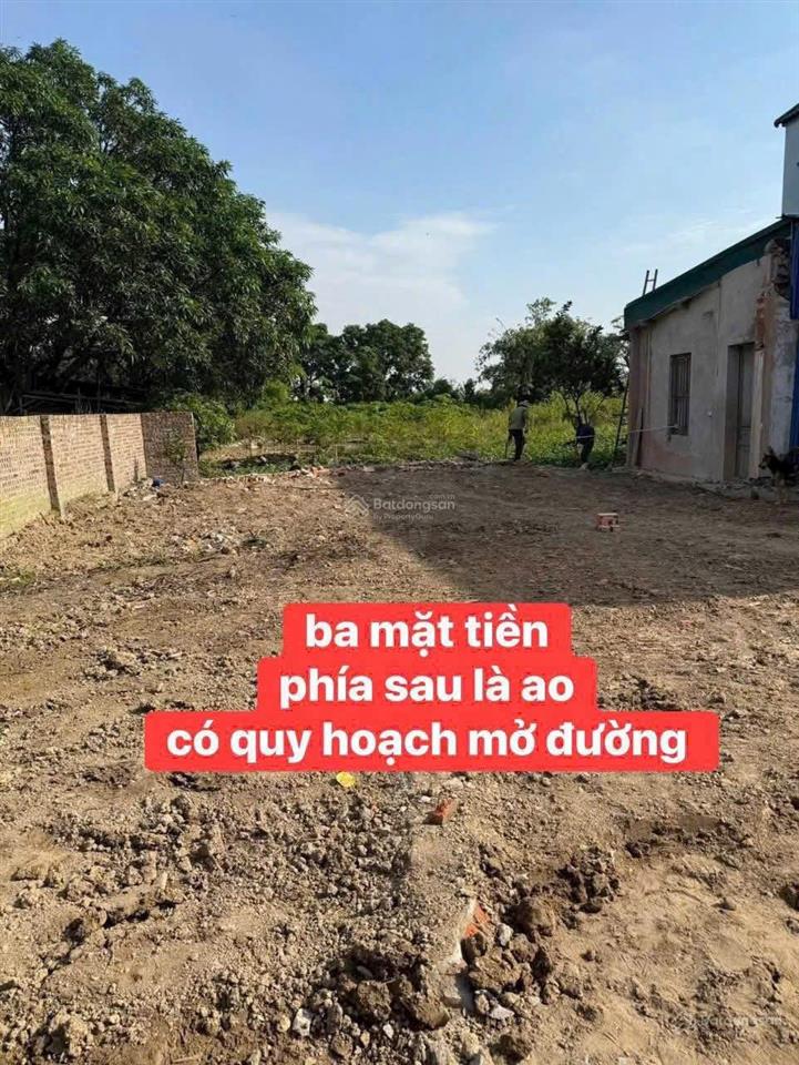 Bất động sản tại Hưng Yên - ảnh 1
