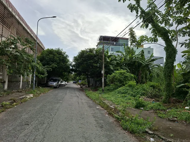 Bất động sản tại TP. Hồ Chí Minh - ảnh 1