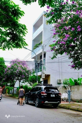 Bất động sản tại Nam Định - ảnh 1