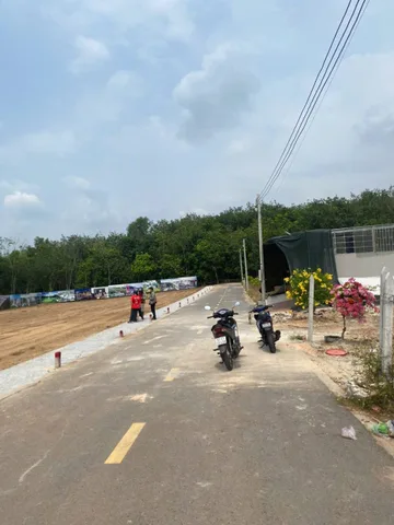 Bất động sản tại Bình Dương - ảnh 1