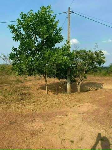 Bất động sản tại Đắk Lắk - ảnh 1