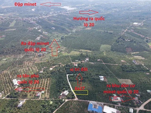 Bất động sản tại Lâm Đồng - ảnh 1