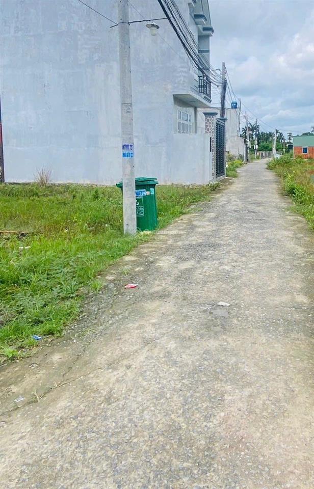 Bất động sản tại Long An - ảnh 1