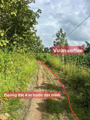 Bất động sản tại Đắk Lắk - ảnh 1