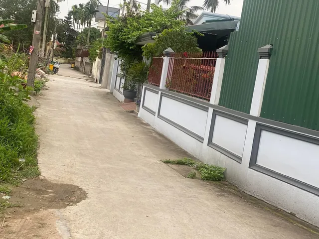 Bất động sản tại Hải Phòng - ảnh 1