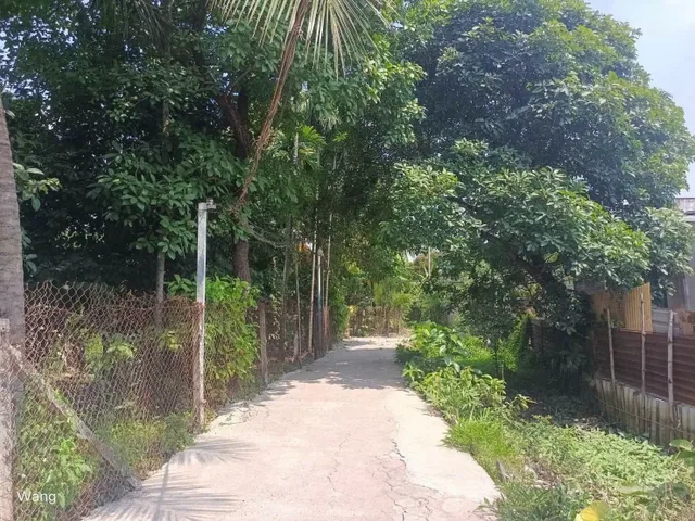 Bất động sản tại Bình Dương - ảnh 1