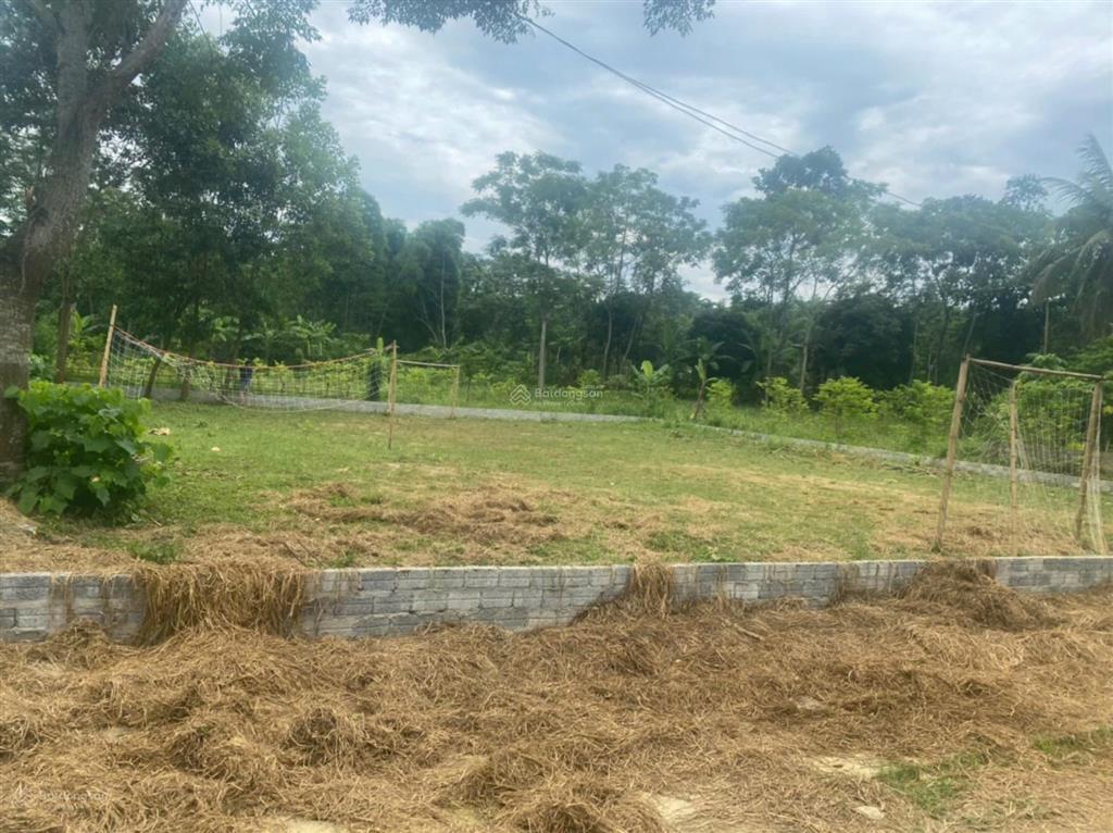 Bất động sản tại Thanh Hóa - ảnh 1