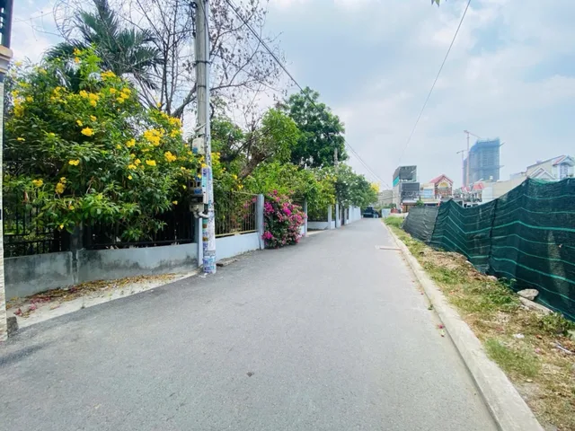 Bất động sản tại Bình Dương - ảnh 1
