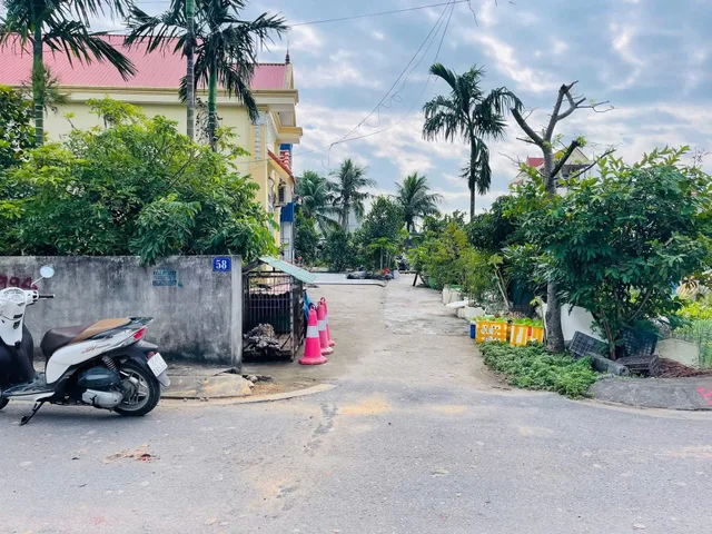 Bất động sản tại Hải Phòng - ảnh 1