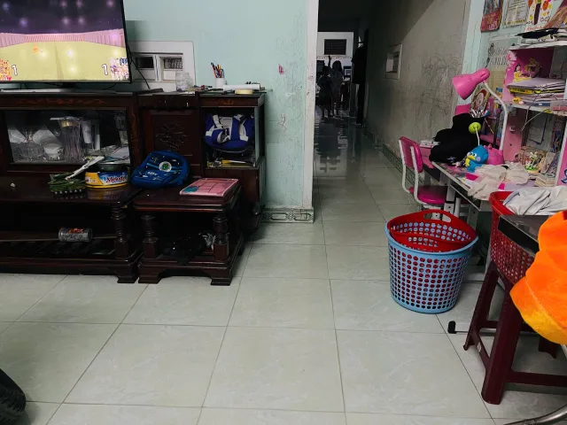 Bất động sản tại Đà Nẵng - ảnh 1