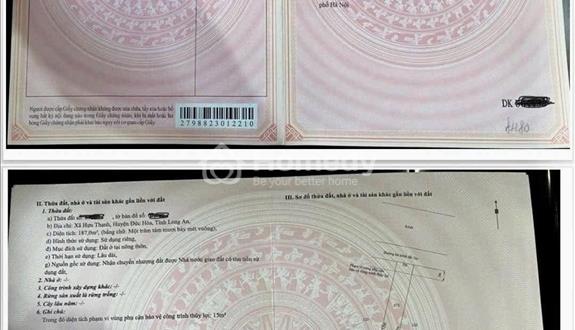 Bất động sản tại Long An - ảnh 1