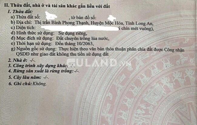 Bất động sản tại Long An - ảnh 1