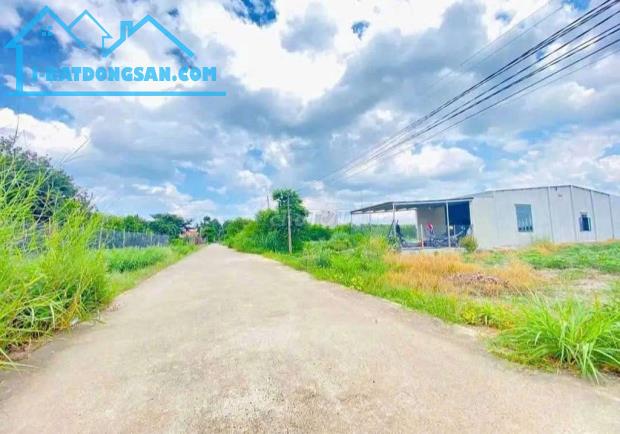 Bất động sản tại Đồng Nai - ảnh 2