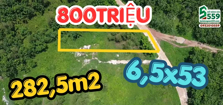 Bất động sản tại Bình Dương - ảnh 1