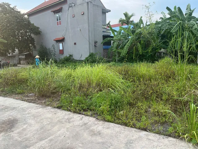 Bất động sản tại Hải Phòng - ảnh 1