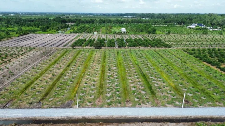 Bất động sản tại Long An - ảnh 1