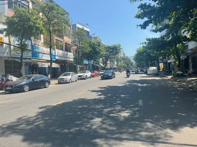 Bất động sản tại Đà Nẵng - ảnh 1
