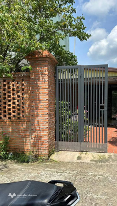 Bất động sản tại Long An - ảnh 1