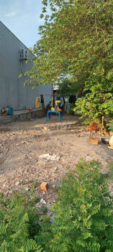Bất động sản tại Long An - ảnh 1