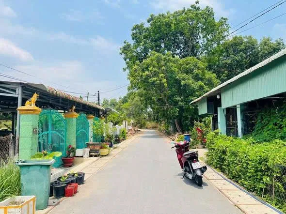 Bất động sản tại Bình Dương - ảnh 1
