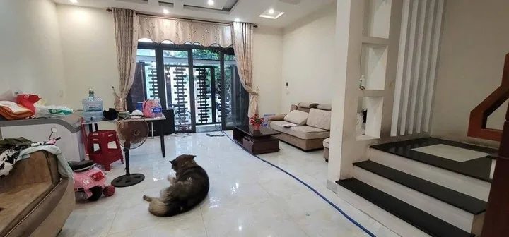 Bất động sản tại Đà Nẵng - ảnh 1