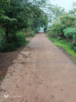 Bất động sản tại Đắk Lắk - ảnh 1