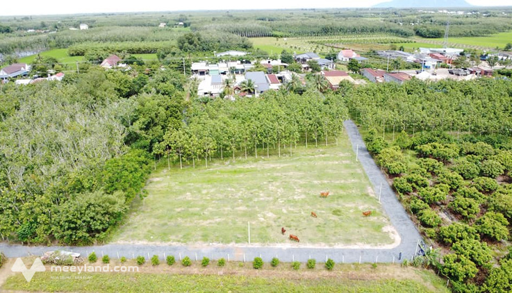 Bất động sản tại Tây Ninh - ảnh 1