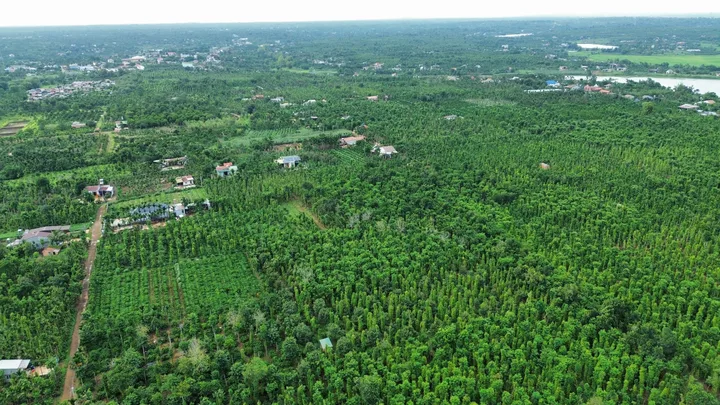 Bất động sản tại Đắk Lắk - ảnh 1