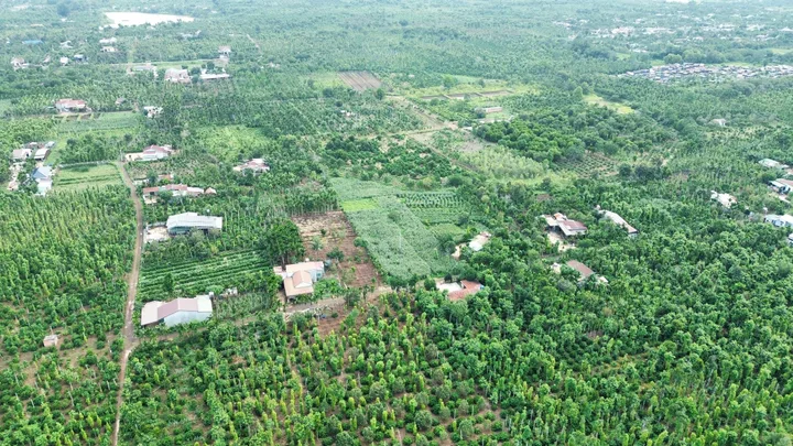 Bất động sản tại Đắk Lắk - ảnh 2