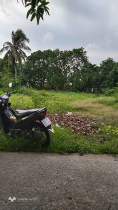 Bất động sản tại Đồng Tháp - ảnh 1