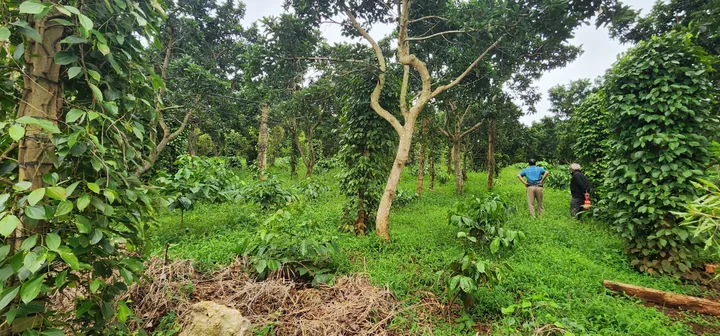 Bất động sản tại Đắk Lắk - ảnh 1