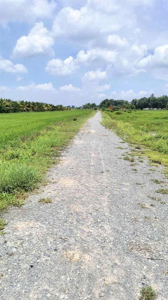 Bất động sản tại Tây Ninh - ảnh 1