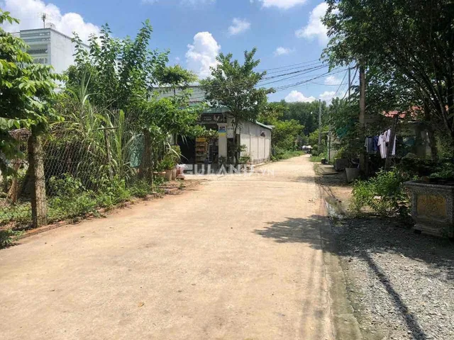 Bất động sản tại Bình Dương - ảnh 1