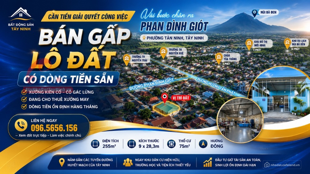 Bất động sản tại Tây Ninh - ảnh 1