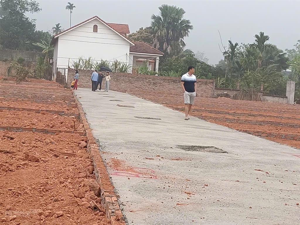 Bất động sản tại Vĩnh Phúc - ảnh 1