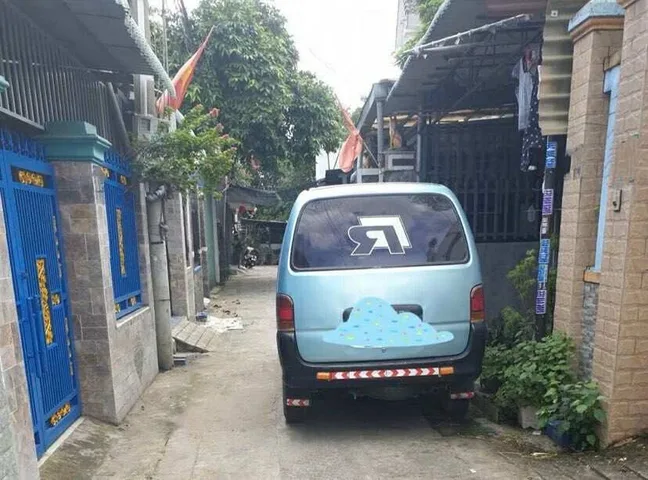 Bất động sản tại Bình Dương - ảnh 1
