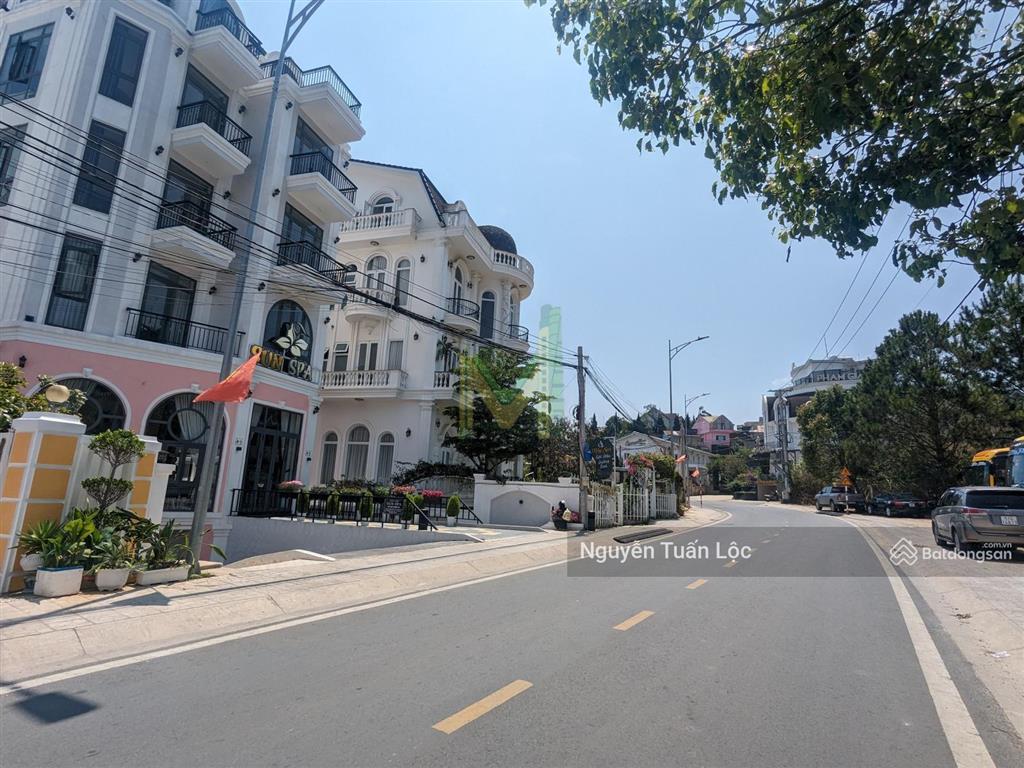 Bất động sản tại Lâm Đồng - ảnh 1
